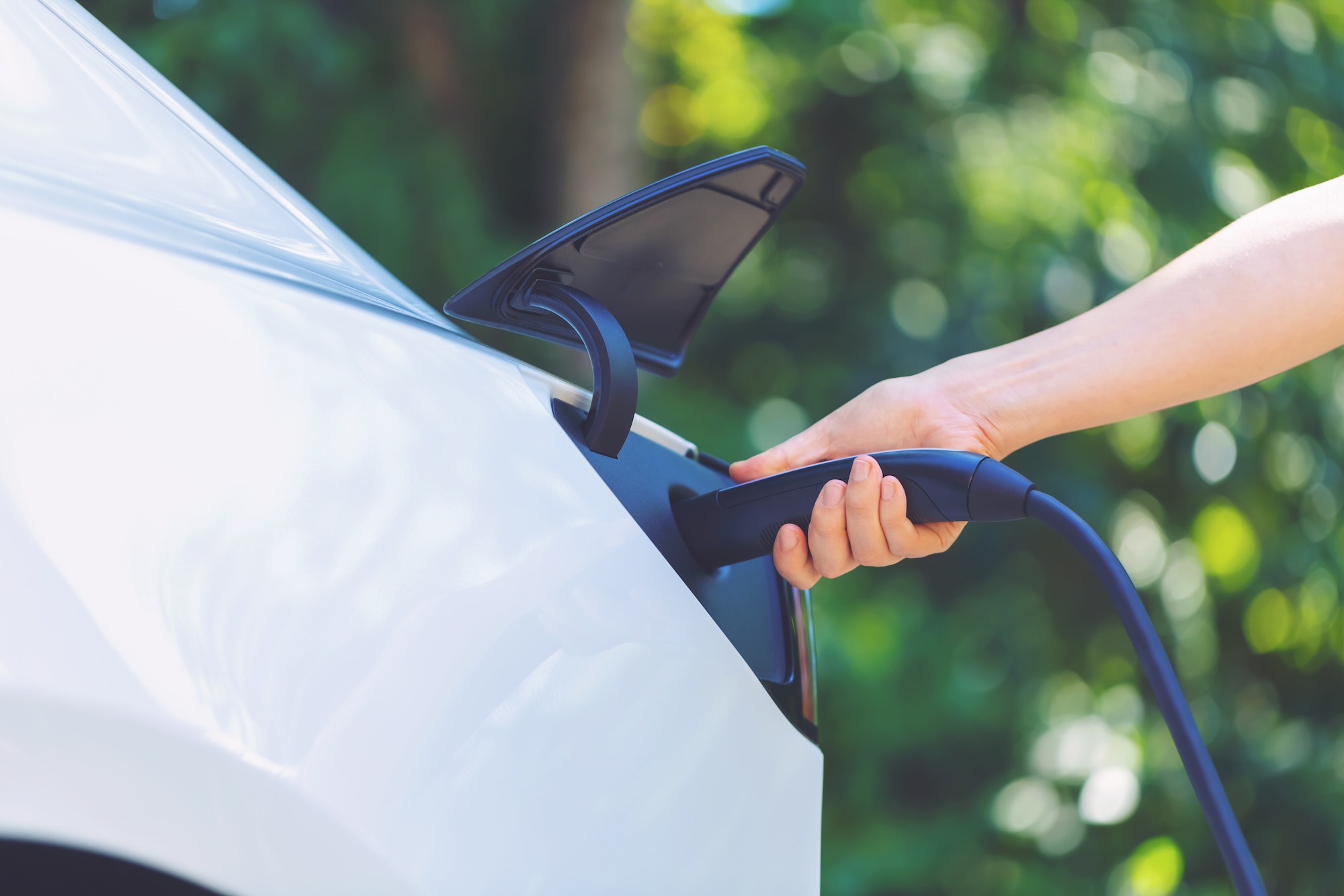 Person charging an electric vehicle with green background Electric panel Installation